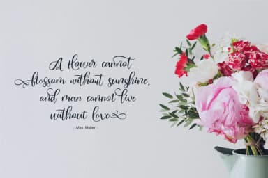 Malficent Font by Motypeidea — Script Handwritten Font — thumbnail 2