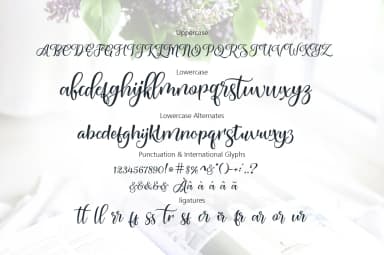 Malficent Font by Motypeidea — Script Handwritten Font — thumbnail 5