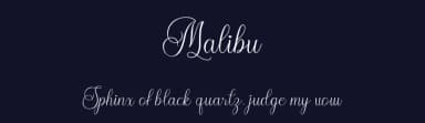 Malibu by ToniStudio — Script Handwritten Font — thumbnail 2