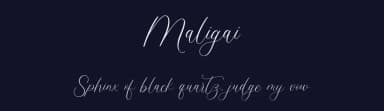 Maligai by Jimtype Studio — Script Handwritten Font — thumbnail 2