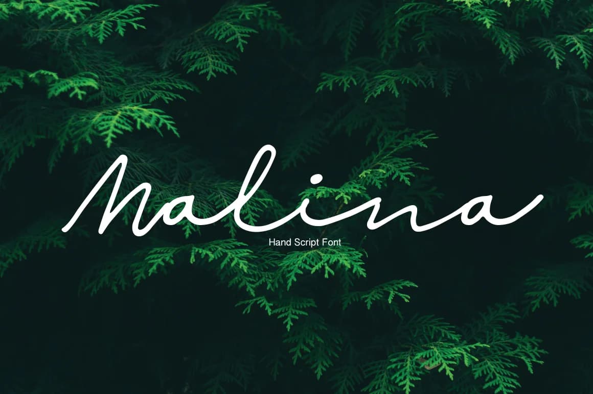 Malina Font by Studio_Art — Script Handwritten Font