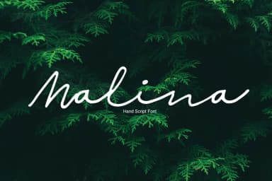 Malina Font by Studio_Art — Script Handwritten Font — thumbnail 1