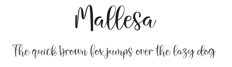 Mallesa by Gilar Studio — Script Handwritten Font — preview 1
