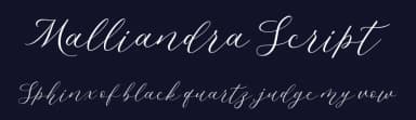 Malliandra Script by Letterhend Studio — Script Handwritten Font — thumbnail 2