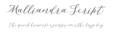 Malliandra Script by Letterhend Studio — Script Handwritten Font — thumbnail 1