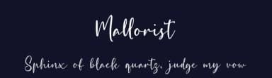 Mallorist by Nurf Designs — Script Handwritten Font — thumbnail 2