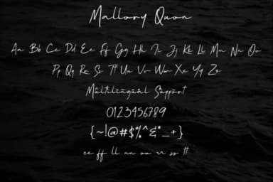 Mallory Quon Font by zuzulgo studio — Script Handwritten Font — thumbnail 6