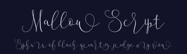 Mallow Script by Roiyani Teungku — Script Handwritten Font — thumbnail 2