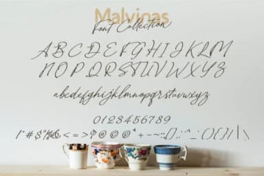 Malvinas Duo Font by Nico Muslib — Script Handwritten Font — thumbnail 4
