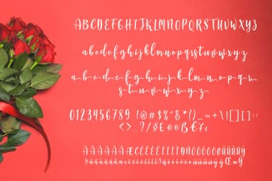 Manda Script Font by Khurasan — Script Handwritten Font — thumbnail 6