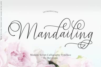 Mandailing Script Font by Bexx Type — Script Handwritten Font — thumbnail 1