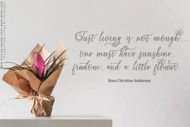 Mandailing Script Font by Bexx Type — Script Handwritten Font — thumbnail 4