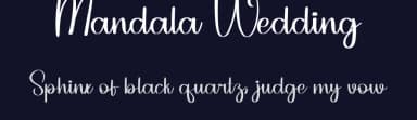 Mandala Wedding by Belina Studio — Script Handwritten Font — thumbnail 2