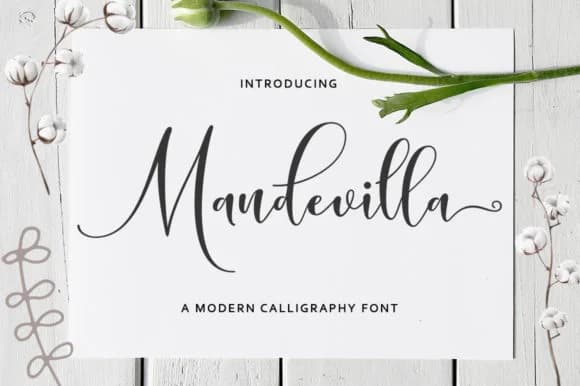 Mandevilla Script Font by Zane Studio — Script Handwritten Font