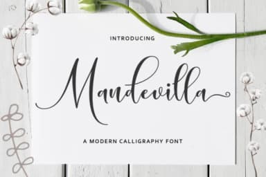 Mandevilla Script Font by Zane Studio — Script Handwritten Font — thumbnail 1