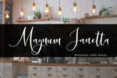 Mandevilla Script Font by Zane Studio — Script Handwritten Font — thumbnail 3