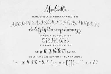Mandevilla Script Font by Zane Studio — Script Handwritten Font — thumbnail 7