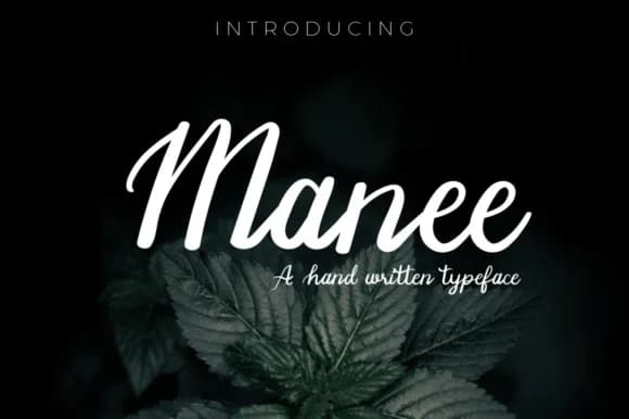 Manee Font by paramajandesign — Script Handwritten Font