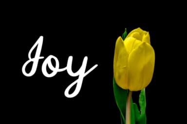 Manee Font by paramajandesign — Script Handwritten Font — thumbnail 8