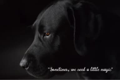 Manee Font by paramajandesign — Script Handwritten Font — thumbnail 9