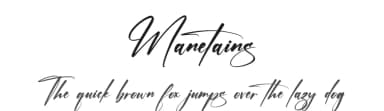 Manetains by Letterena Studios — Script Handwritten Font — thumbnail 1