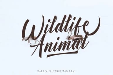 Manhattan Font by YdhraStudio — Script Handwritten Font — thumbnail 9