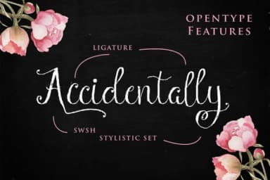 Manny Script Font by QueenType — Script Handwritten Font — thumbnail 5