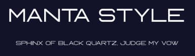 Manta Style by vilogsign — Sans Serif Font — thumbnail 2
