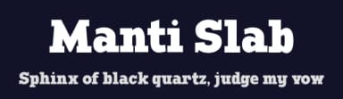 Manti Slab by Studio Typo — Serif Font — thumbnail 2