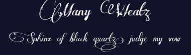 Many Weatz by Måns Grebäck — Script Handwritten Font — thumbnail 2