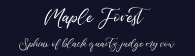 Maple Forest by Vztype Studio — Script Handwritten Font — thumbnail 2