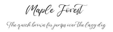 Maple Forest by Vztype Studio — Script Handwritten Font — thumbnail 1