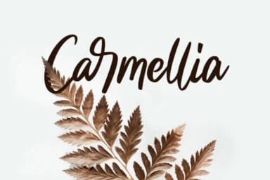 Maracass Script Font by EighteenStudio — Script Handwritten Font — thumbnail 5