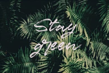 Marceline Font by sarten — Script Handwritten Font — thumbnail 2