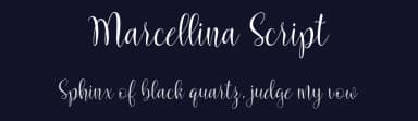Marcellina Script by Fargun Studio — Script Handwritten Font — thumbnail 2