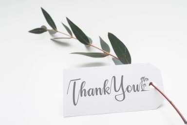 Marettimo Font by The Traveling Fox — Script Handwritten Font — thumbnail 7