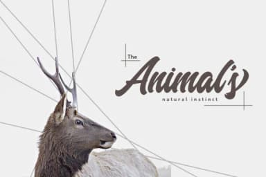 Margents Font by ShowUp! Typefoundry — Script Handwritten Font — thumbnail 9