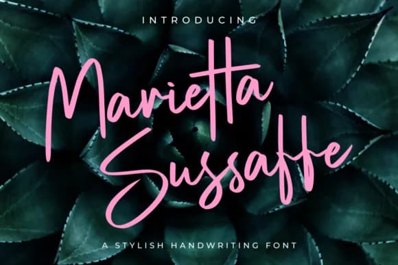 Marietta Sussaffe Font by MENK Studio — Script Handwritten Font