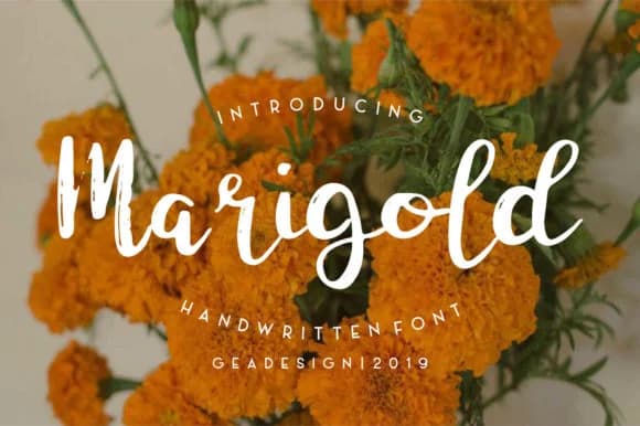 Marigold Font by geadesign — Script Handwritten Font
