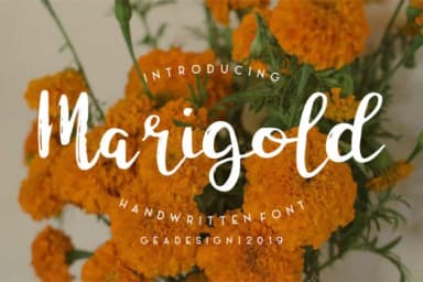 Marigold Font by geadesign — Script Handwritten Font — thumbnail 1
