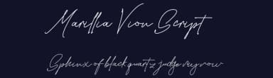 Marillia Vion Script by Typegenic Studio — Script Handwritten Font — thumbnail 2