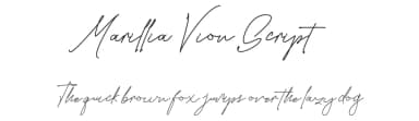 Marillia Vion Script by Typegenic Studio — Script Handwritten Font — thumbnail 1
