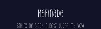 Marinade by Toko Laris Djaja — Script Handwritten Font — thumbnail 2