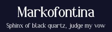 Markofontina by Vlad Viperov — Serif Font — thumbnail 2