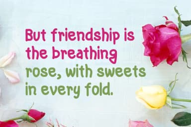 Marlys Wilson Font by Contour Fonts — Script Handwritten Font — thumbnail 2