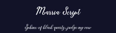 Marria Script by Creative Lab — Script Handwritten Font — thumbnail 2