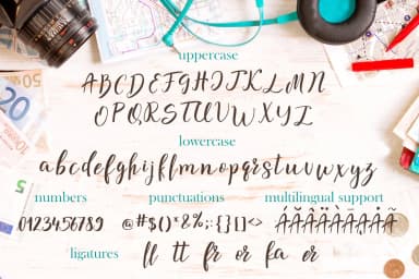 Marseille Font by tregubova.jul — Script Handwritten Font — thumbnail 8