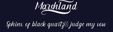Marshland by RaisProject — Script Handwritten Font — thumbnail 2