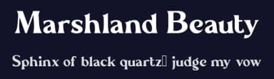 Marshland Beauty by Aluyeah Studio — Serif Font — thumbnail 2
