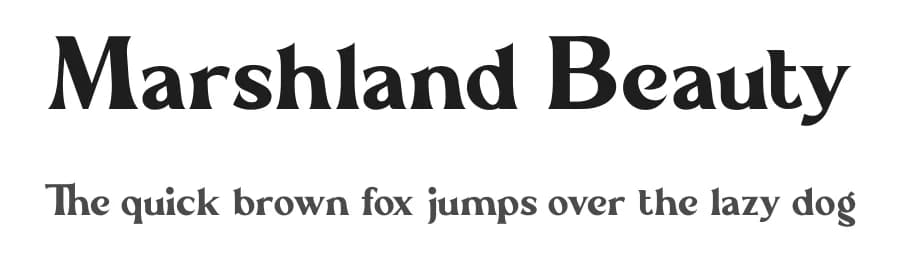 Marshland Beauty by Aluyeah Studio — Serif Font